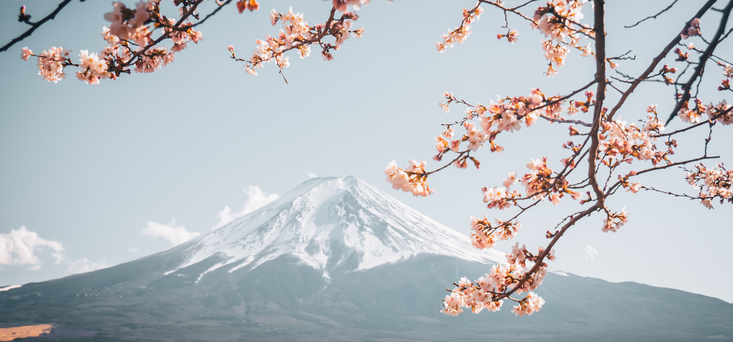 Mount Fuji Japan